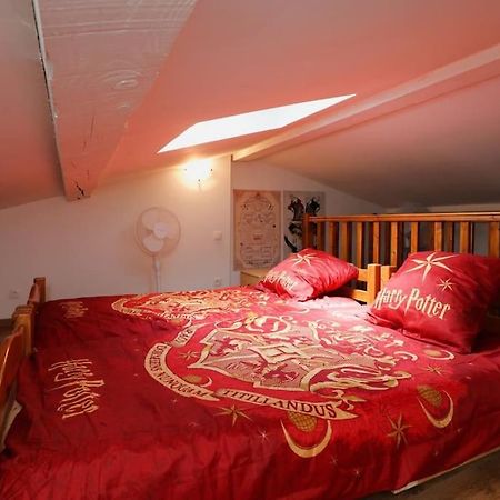 Apartament Harry Potter - Le Logis Du Petit Sorcier - Clim Carcassonne Zewnętrze zdjęcie