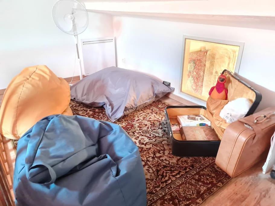 Apartament Harry Potter - Le Logis Du Petit Sorcier - Clim Carcassonne Zewnętrze zdjęcie